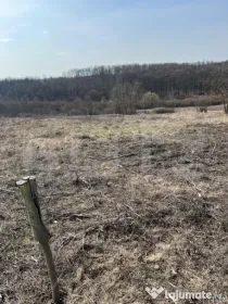 Teren intravilan de vanzare, 9783 mp, Paleu zona Iacului