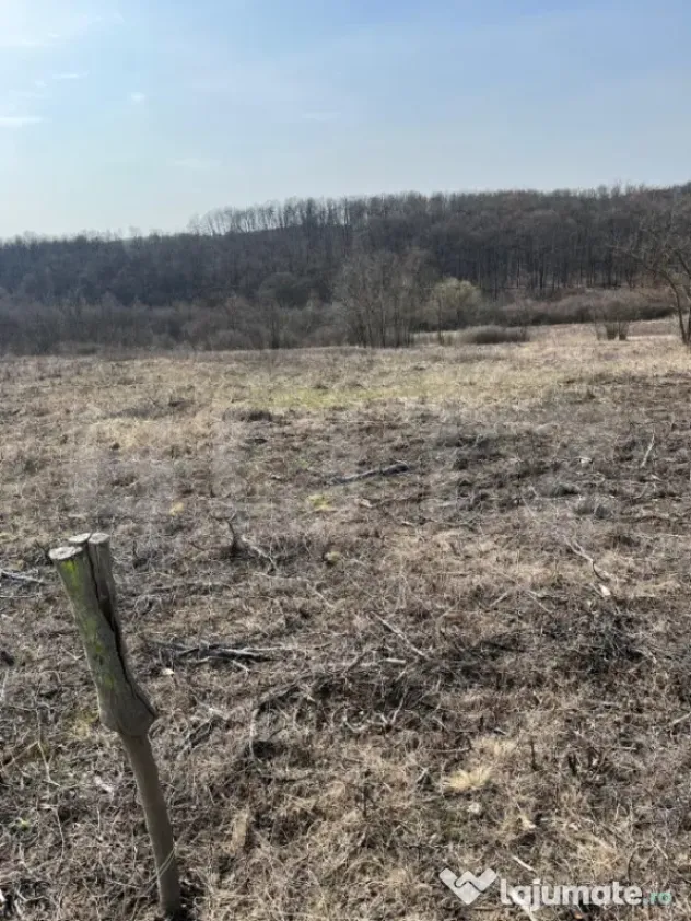 Teren intravilan de vanzare, 9783 mp, Paleu zona Iacului
