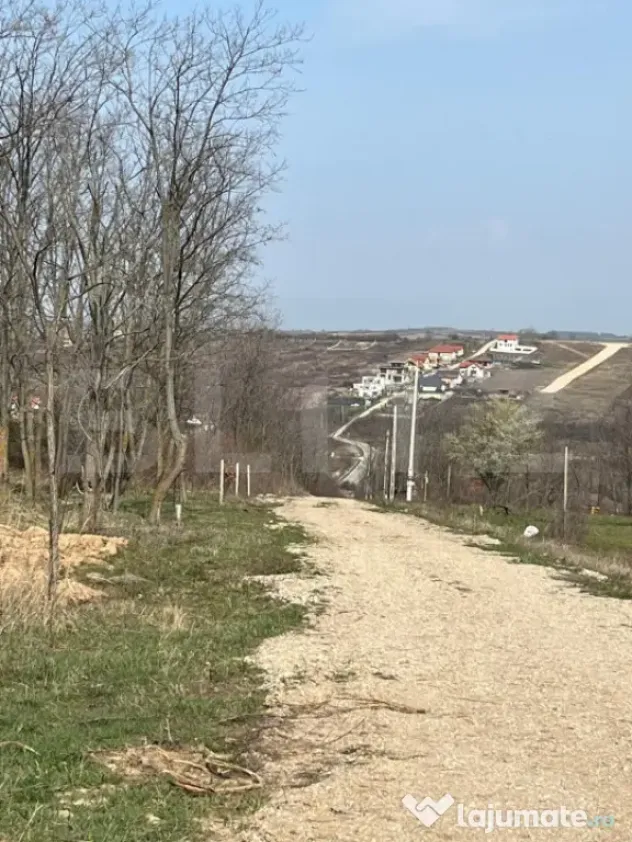 Teren intravilan de vanzare, 9783 mp, Paleu zona Iacului