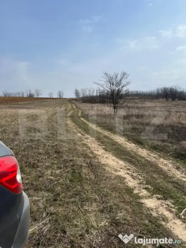 Teren intravilan de vanzare, 9783 mp, Paleu zona Iacului