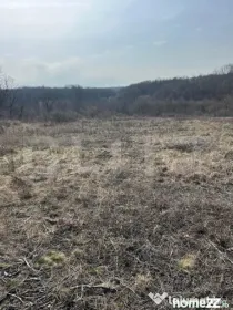 Teren intravilan de vanzare, 9783 mp, Paleu zona Iacului
