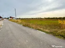 Teren Intravilan Albota Arges