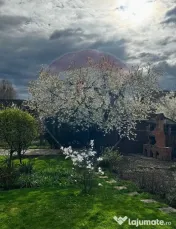 Casă / Vilă cu 8 camere de vânzare în zona Central 