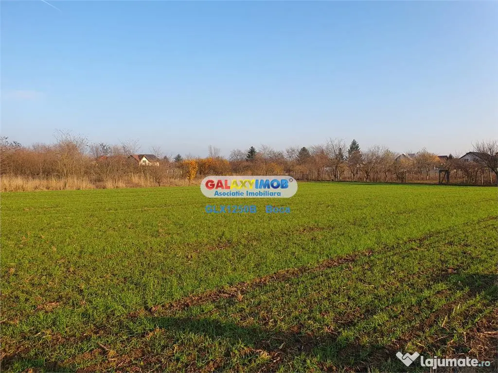 Teren intravilan Crevedia-Manastirea