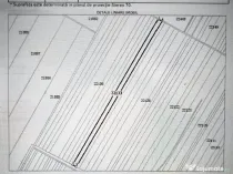 Teren agricol 1ha de vanzare Valea Macrisului, Ialomita 10.000mp