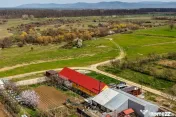 PREȚ AJUSTAT | Casa din lunca Mureșului: intimitate 100% 