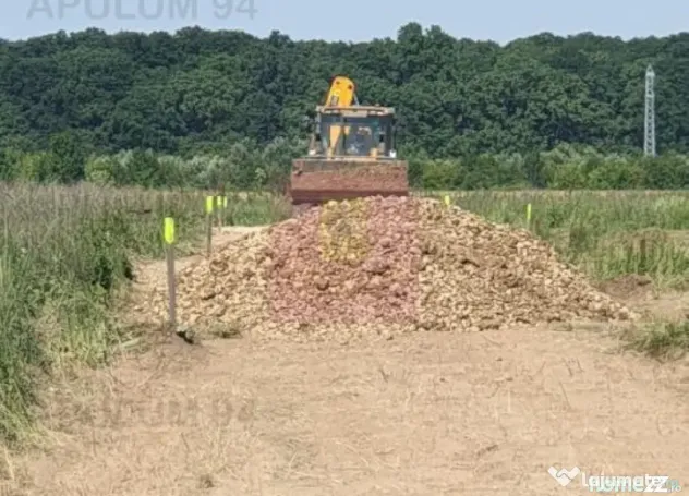 Gulia, lot de casa 528 mp, cu utilități în apropiere