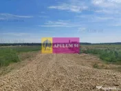 Gulia, lot de casa 528 mp, cu utilități în apropiere 