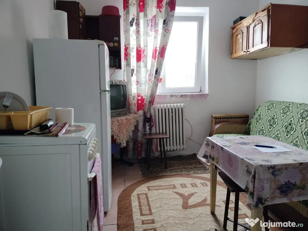 Camera de camin - zona Florilor