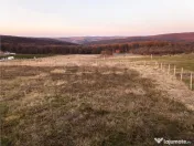 RECO Teren intravilan in Saldabagiu de Munte 