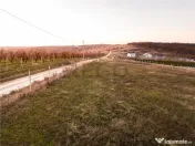 RECO Teren intravilan in Saldabagiu de Munte 