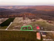 RECO Teren intravilan in Saldabagiu de Munte 