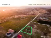 RECO Teren intravilan in Saldabagiu de Munte 