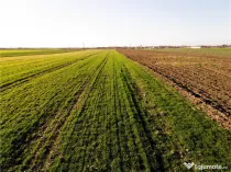 RECO teren 5000mp cu deschidere la DN19 Tamaseu