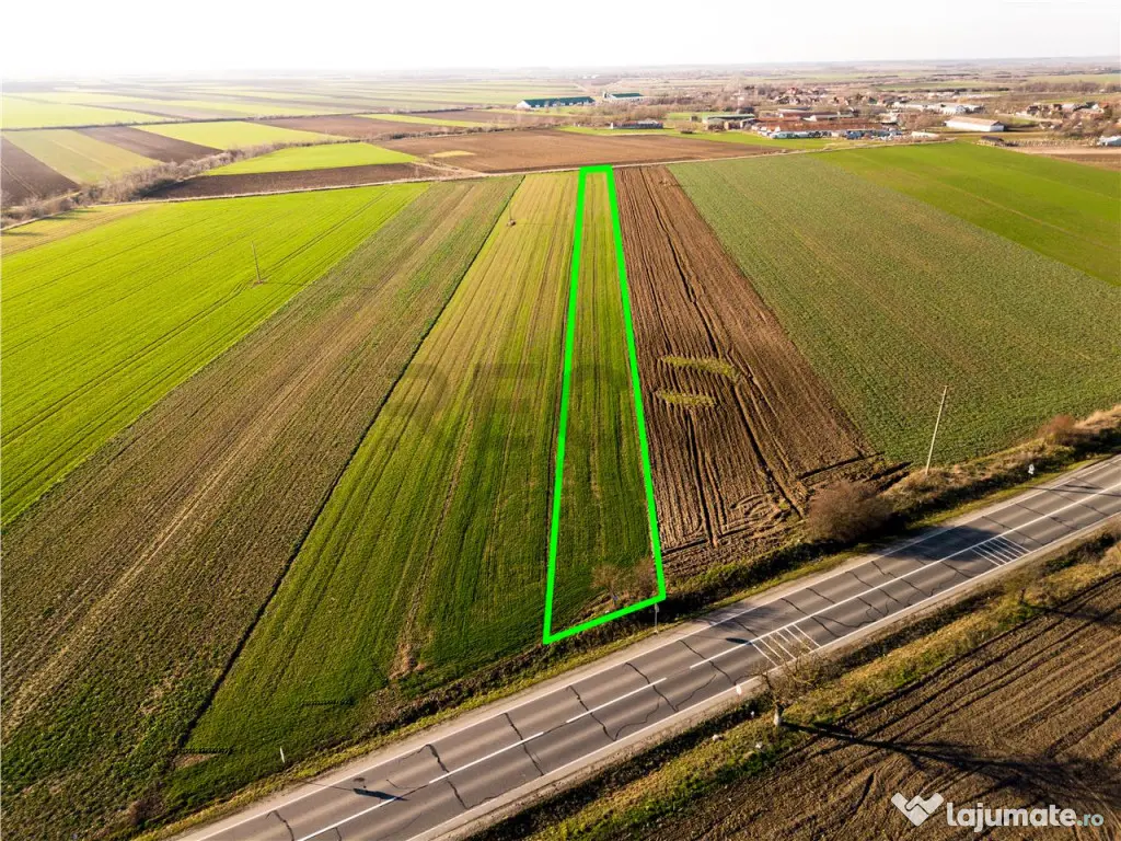 RECO teren 5000mp cu deschidere la DN19 Tamaseu