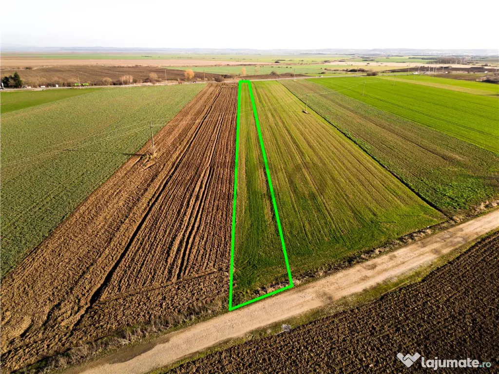 RECO teren 5000mp cu deschidere la DN19 Tamaseu