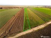 RECO teren 5000mp cu deschidere la DN19 Tamaseu 