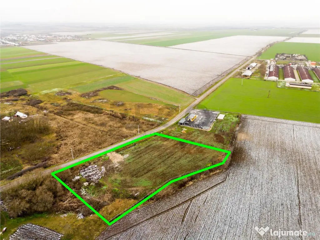 RECO . Teren extravilan 5000mp , 110ml front .