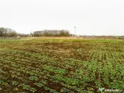 RECO . Teren extravilan 5000mp , 110ml front . 