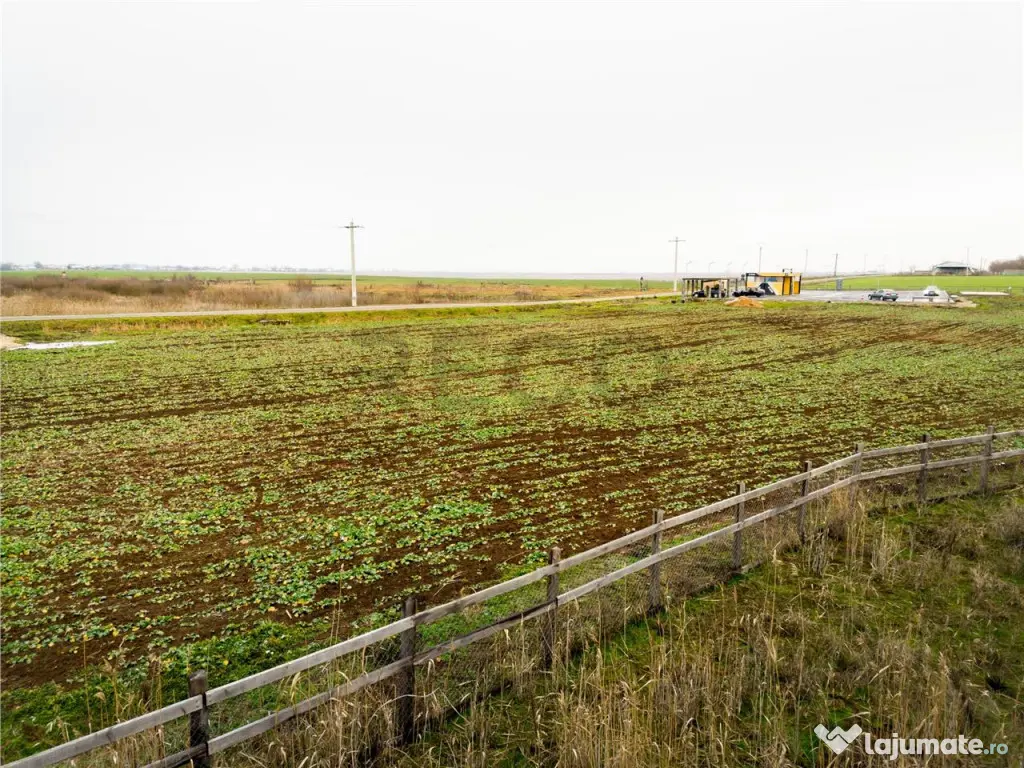 RECO . Teren extravilan 5000mp , 110ml front .