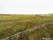 RECO . Teren extravilan 5000mp , 110ml front . 