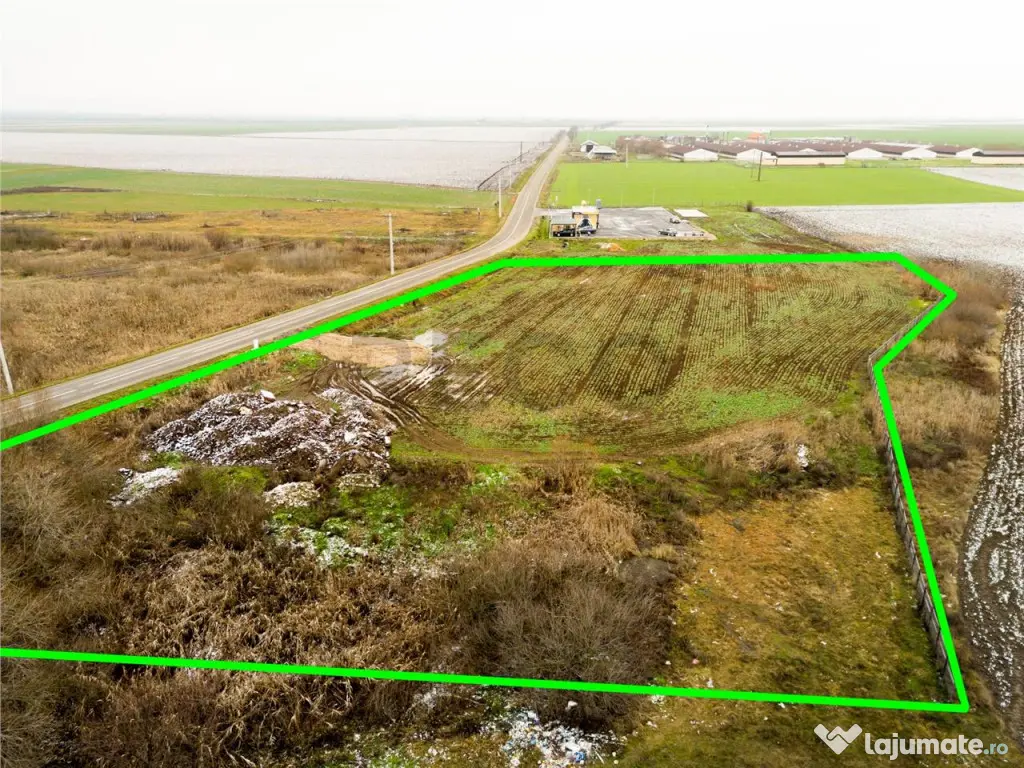 RECO . Teren extravilan 5000mp , 110ml front .