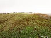 RECO . Teren extravilan 5000mp , 110ml front . 