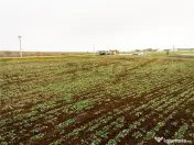 RECO . Teren extravilan 5000mp , 110ml front . 