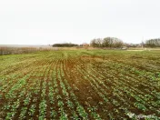 RECO . Teren extravilan 5000mp , 110ml front . 