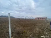 RECO Teren Intravilan 750mp Marghita-Zona Beverly Hills 