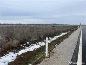 RECO teren intravilan Biharia 