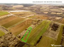 RECO Teren intravilan in Paleu