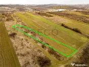 RECO Teren intravilan in Paleu 