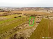 RECO Teren intravilan in Paleu 