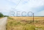 RECO, teren intravilan, Zona Sinteu, Bihor