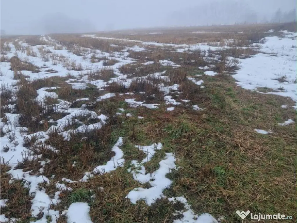 RECO, teren intravilan, Zona Sinteu, Bihor