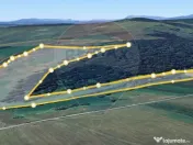 COMISION 0% | Teren 11.7ha extravilan | Jibert, | Destina... 