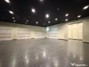 Zona 1 Decembrie - Complex sp 252 mp open space vitrina 1... 