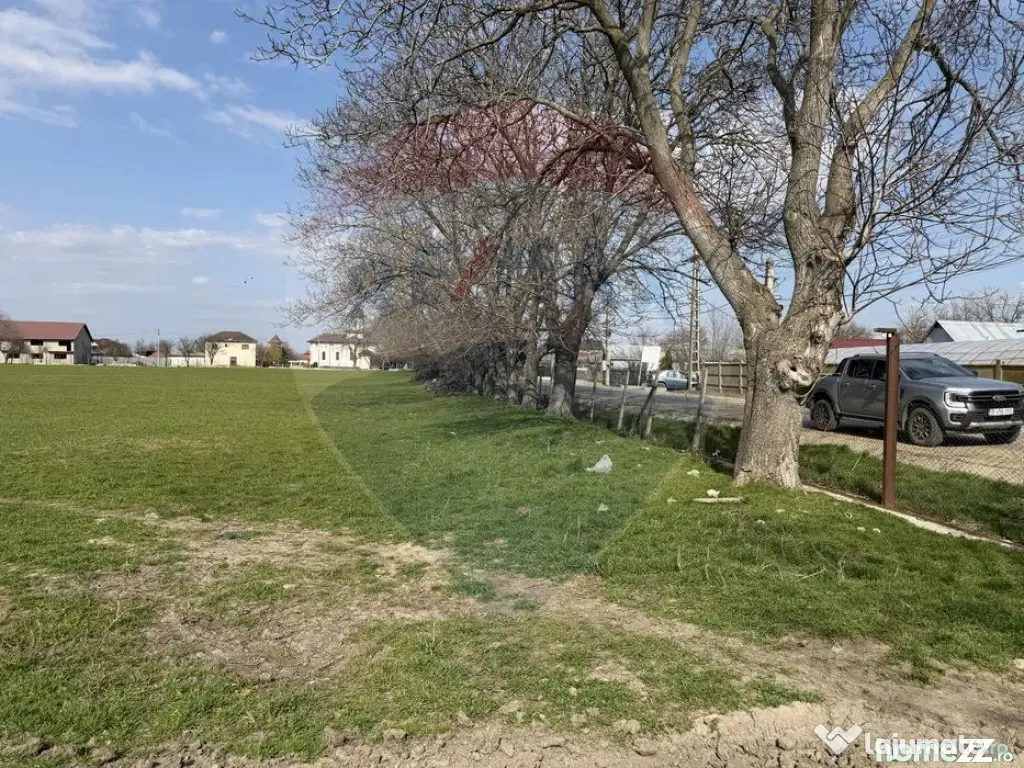 Teren 500 h plus 1000h arenda Vrancea - Slobozia Ciorasti (Vrancea)