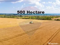Teren 500 h plus 1000h arenda Vrancea