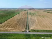 Teren 500 h plus 1000h arenda Vrancea 
