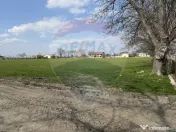 Teren 500 h plus 1000h arenda Vrancea 