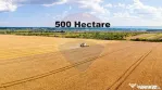 Teren 500 h plus 1000h arenda Vrancea