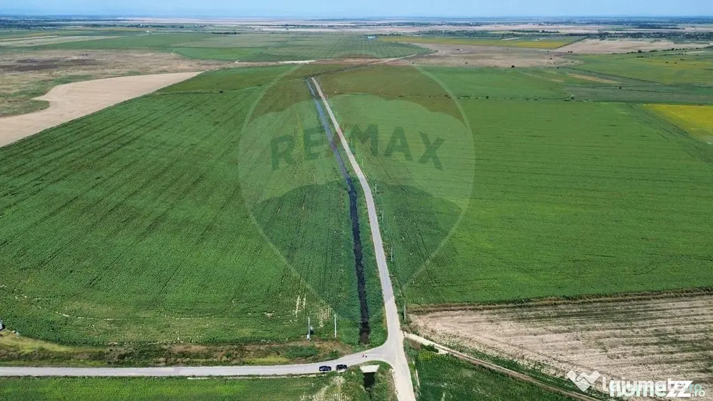 Teren 500 h plus 1000h arenda Vrancea