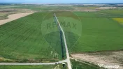 Teren 500 h plus 1000h arenda Vrancea 