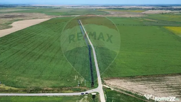 Teren 500 h plus 1000h arenda Vrancea