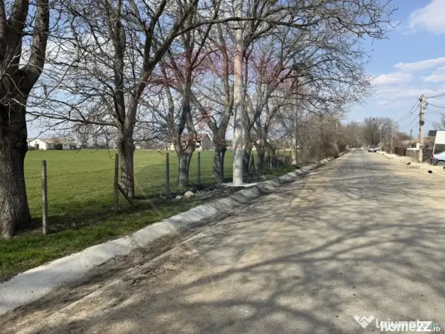 Teren 500 h plus 1000h arenda Vrancea
