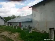 Teren intravilan si construcții în comuna Dragodana, sa... 