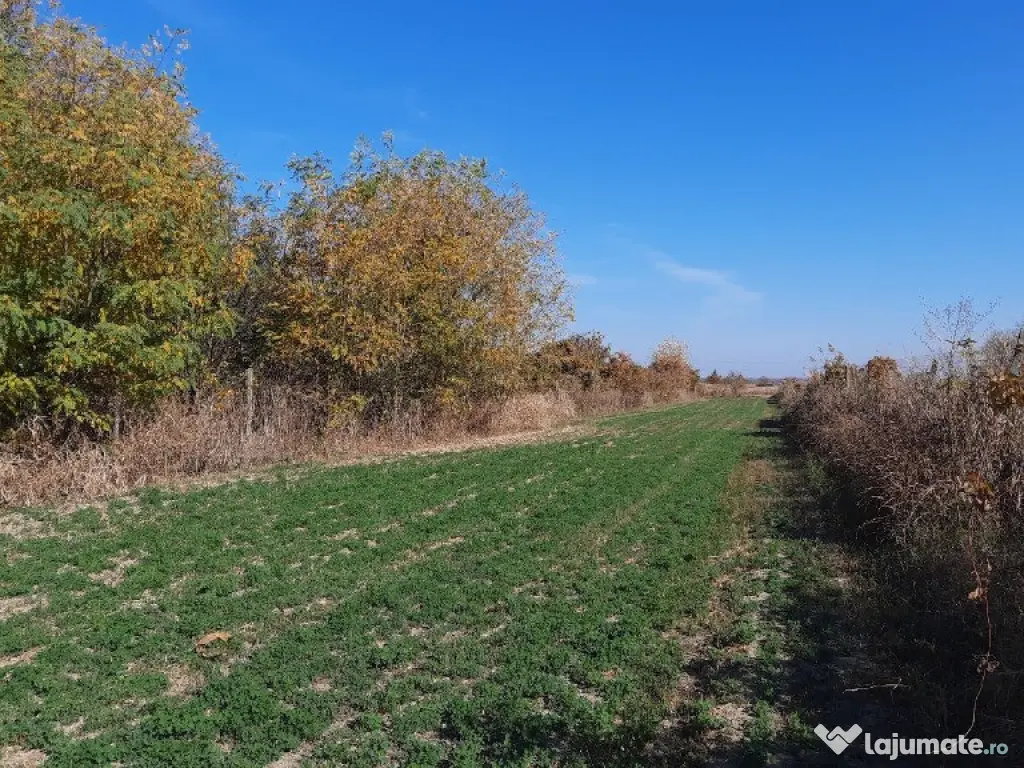 Vând proprietate în sat Brătești, com. Șirna, jud. Prahova