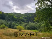 Teren 550 mp Dambul Morii 